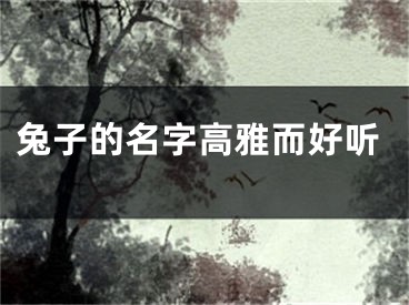 兔子的名字高雅而好听