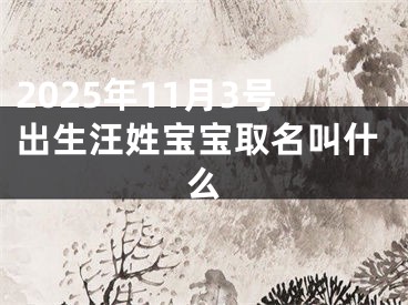 2025年11月3号出生汪姓宝宝取名叫什么