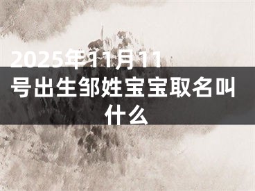 2025年11月11号出生邹姓宝宝取名叫什么
