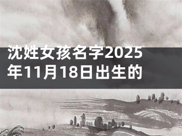 沈姓女孩名字2025年11月18日出生的