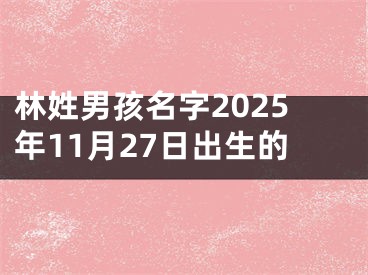 林姓男孩名字2025年11月27日出生的