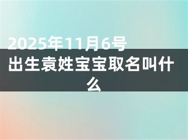 2025年11月6号出生袁姓宝宝取名叫什么