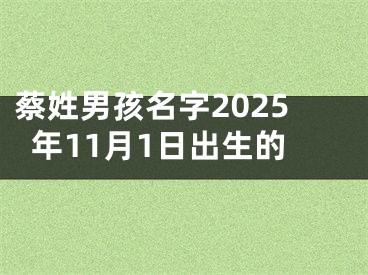 蔡姓男孩名字2025年11月1日出生的