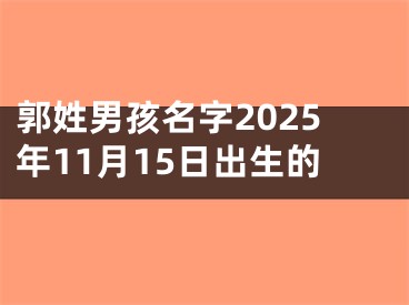 郭姓男孩名字2025年11月15日出生的
