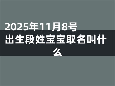 2025年11月8号出生段姓宝宝取名叫什么