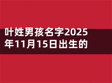 叶姓男孩名字2025年11月15日出生的