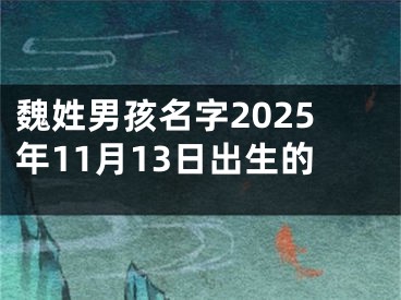 魏姓男孩名字2025年11月13日出生的