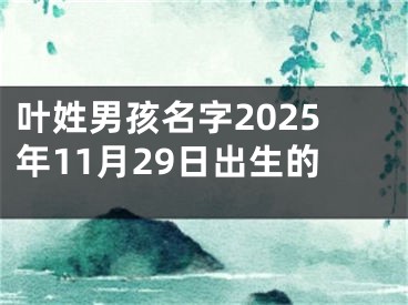 叶姓男孩名字2025年11月29日出生的