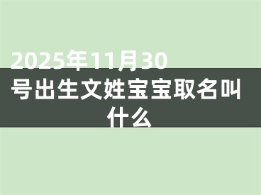 2025年11月30号出生文姓宝宝取名叫什么
