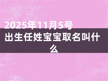 2025年11月5号出生任姓宝宝取名叫什么