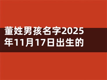 董姓男孩名字2025年11月17日出生的