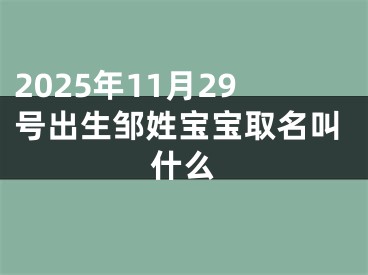 2025年11月29号出生邹姓宝宝取名叫什么