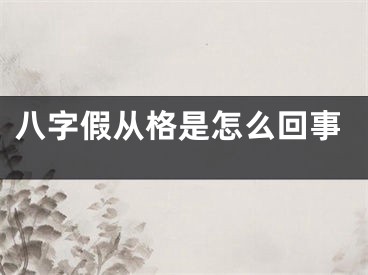 八字假从格是怎么回事