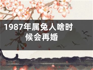 1987年属兔人啥时候会再婚 