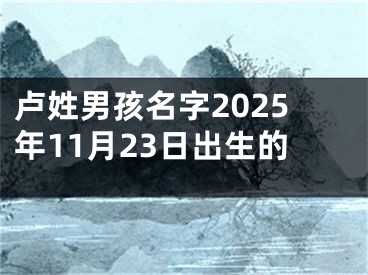 卢姓男孩名字2025年11月23日出生的