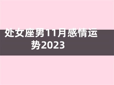 处女座男11月感情运势2023