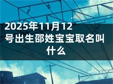 2025年11月12号出生邵姓宝宝取名叫什么