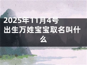 2025年11月4号出生万姓宝宝取名叫什么