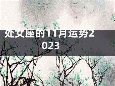 处女座的11月运势2023