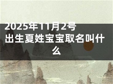2025年11月2号出生夏姓宝宝取名叫什么