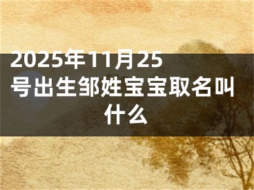 2025年11月25号出生邹姓宝宝取名叫什么