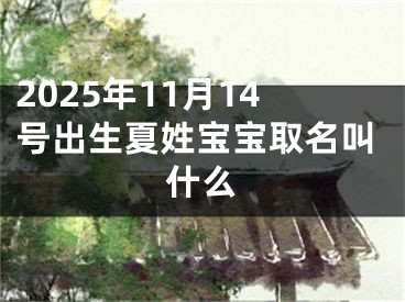 2025年11月14号出生夏姓宝宝取名叫什么