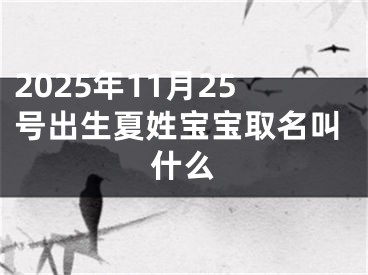 2025年11月25号出生夏姓宝宝取名叫什么