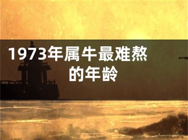 1973年属牛最难熬的年龄