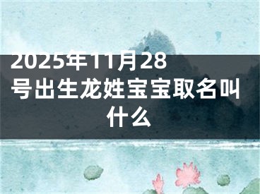 2025年11月28号出生龙姓宝宝取名叫什么