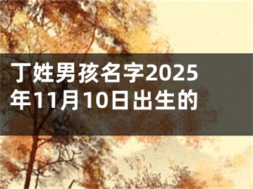 丁姓男孩名字2025年11月10日出生的