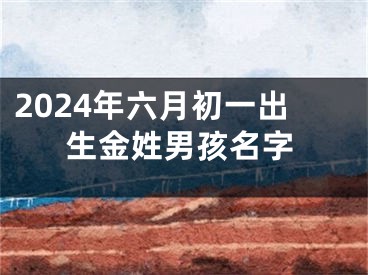 2024年六月初一出生金姓男孩名字