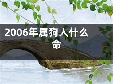 2006年属狗人什么命