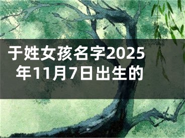 于姓女孩名字2025年11月7日出生的