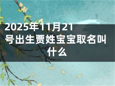 2025年11月21号出生贾姓宝宝取名叫什么
