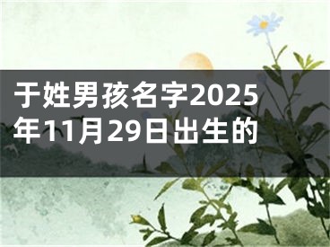 于姓男孩名字2025年11月29日出生的