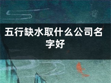 五行缺水取什么公司名字好