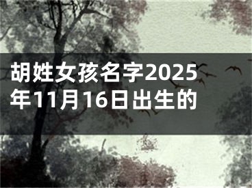 胡姓女孩名字2025年11月16日出生的