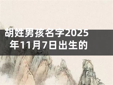 胡姓男孩名字2025年11月7日出生的