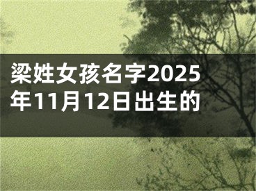梁姓女孩名字2025年11月12日出生的