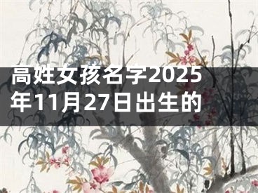 高姓女孩名字2025年11月27日出生的