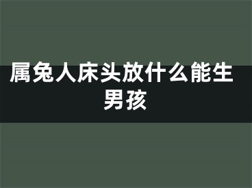 属兔人床头放什么能生男孩