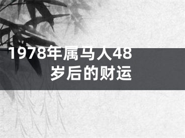 1978年属马人48岁后的财运