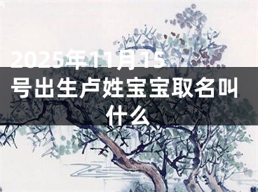 2025年11月15号出生卢姓宝宝取名叫什么