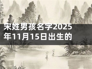 宋姓男孩名字2025年11月15日出生的
