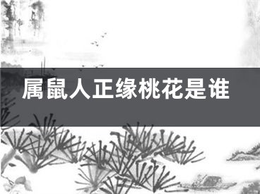 属鼠人正缘桃花是谁