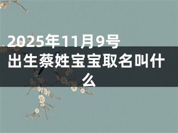 2025年11月9号出生蔡姓宝宝取名叫什么