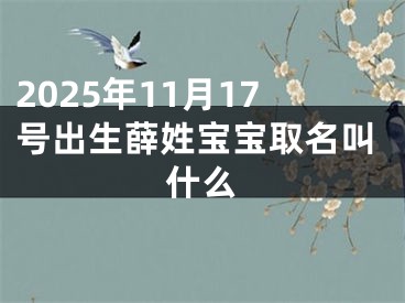 2025年11月17号出生薛姓宝宝取名叫什么