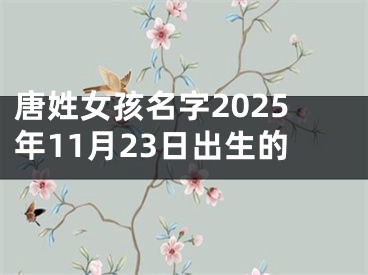 唐姓女孩名字2025年11月23日出生的