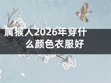 属猴人2026年穿什么颜色衣服好