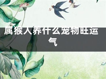 属猴人养什么宠物旺运气